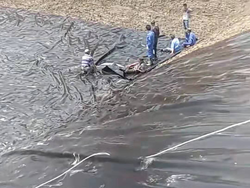 河南新鄉，魚塘防滲膜鋪設現場－2019年